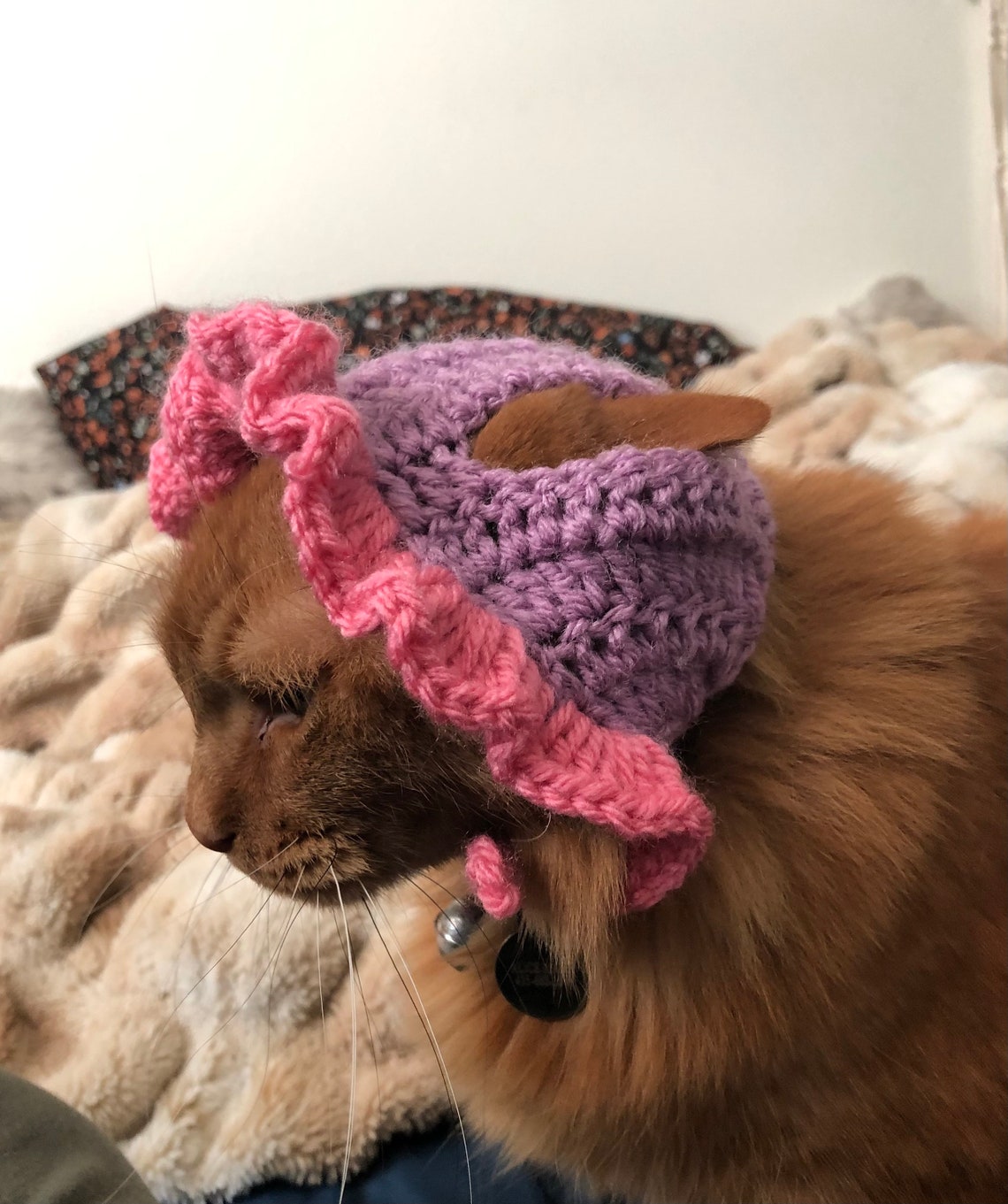 Cute Handmade Crochet Style Hats for Cats and Small Dogs Etsy