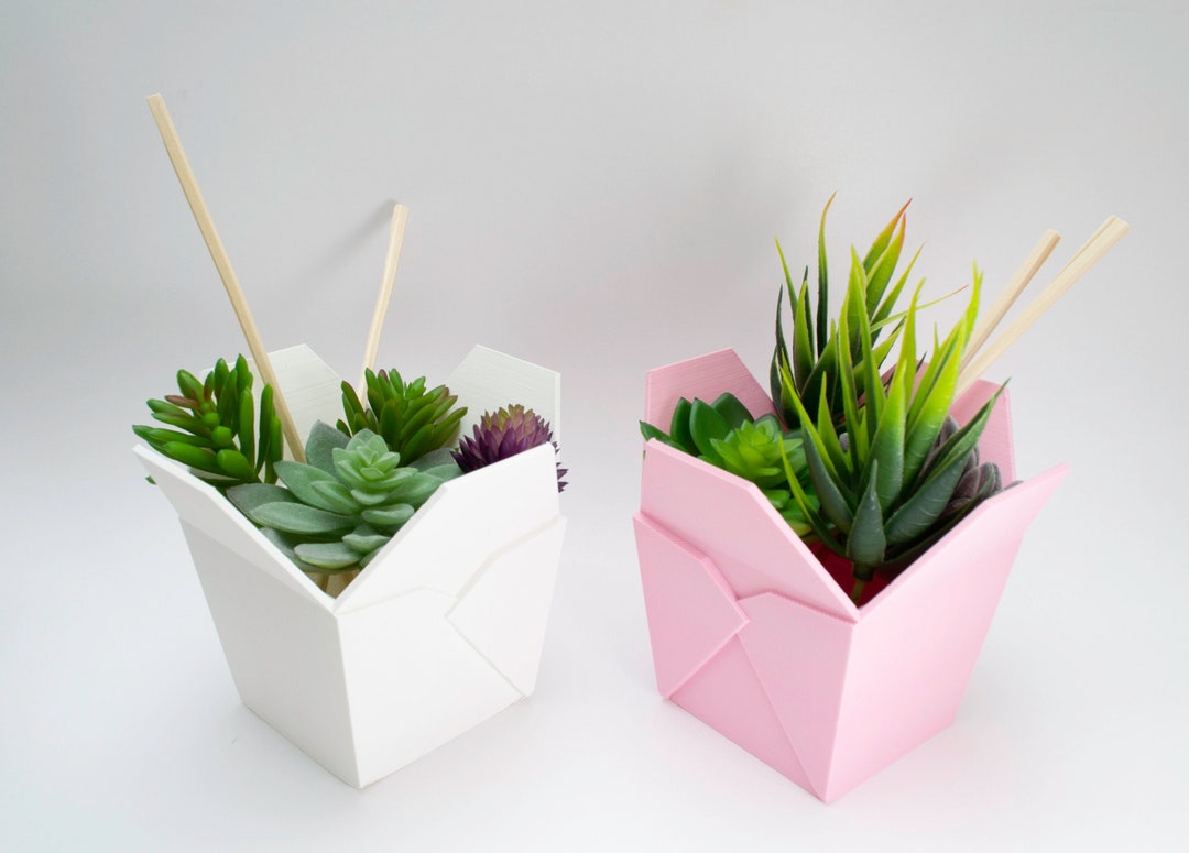Chinese Takeout Planter, Chinese Takeout Pot, Chinese Takeout Box 3D Printed, Perfect for