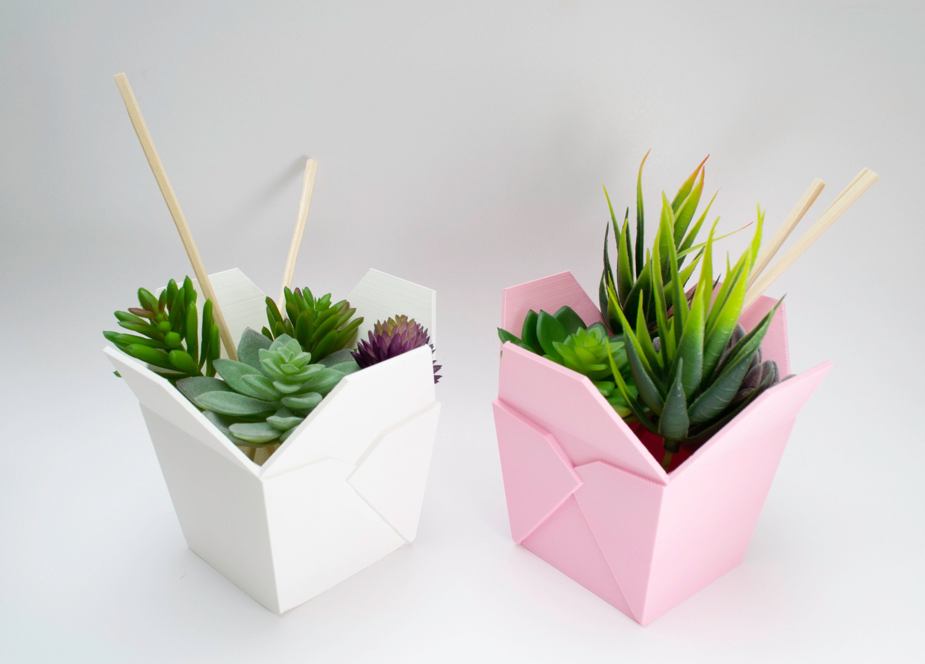 Chinese Takeout Planter Chinese Takeout Pot Chinese Takeout Etsy India