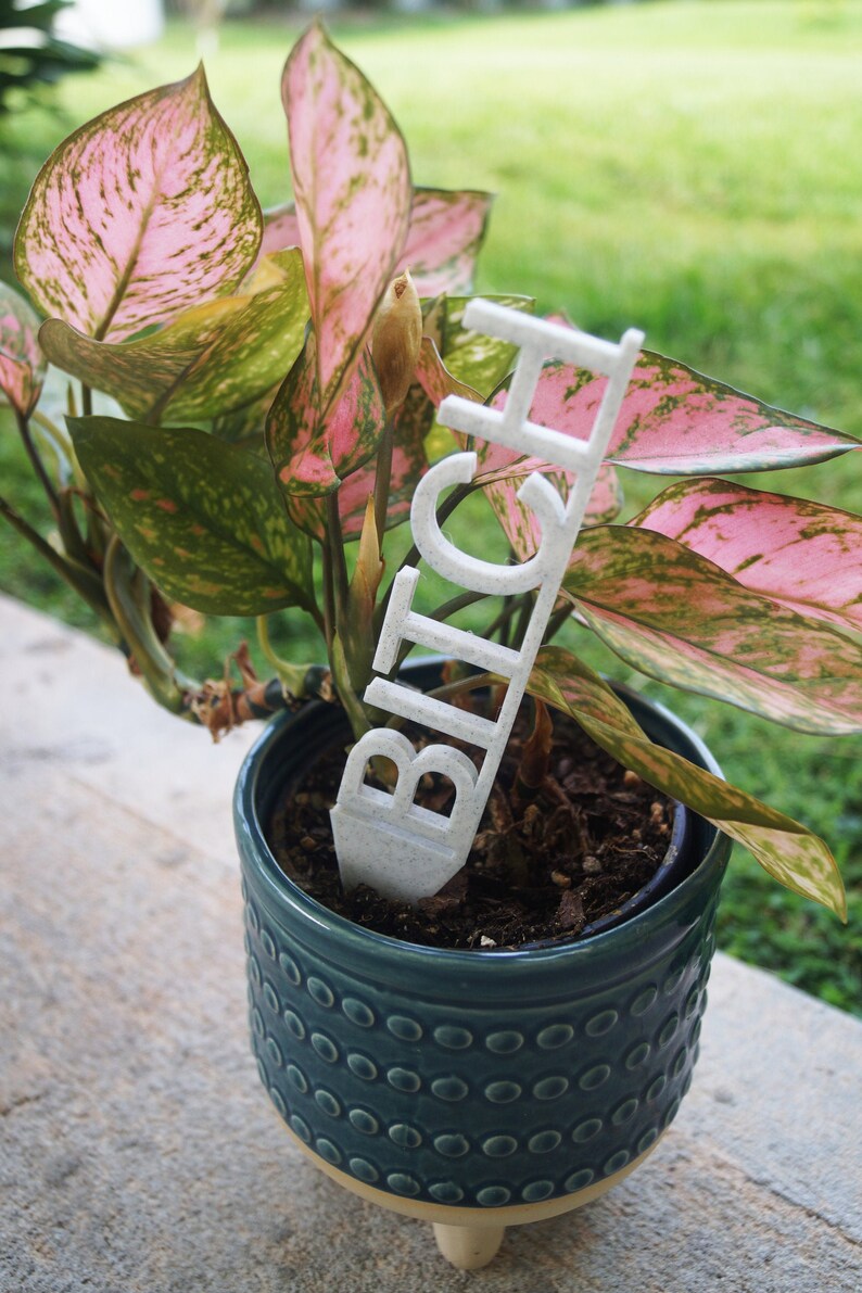 Funny Plant Stakes Custom Ideal for Houseplants Succulents Etsy