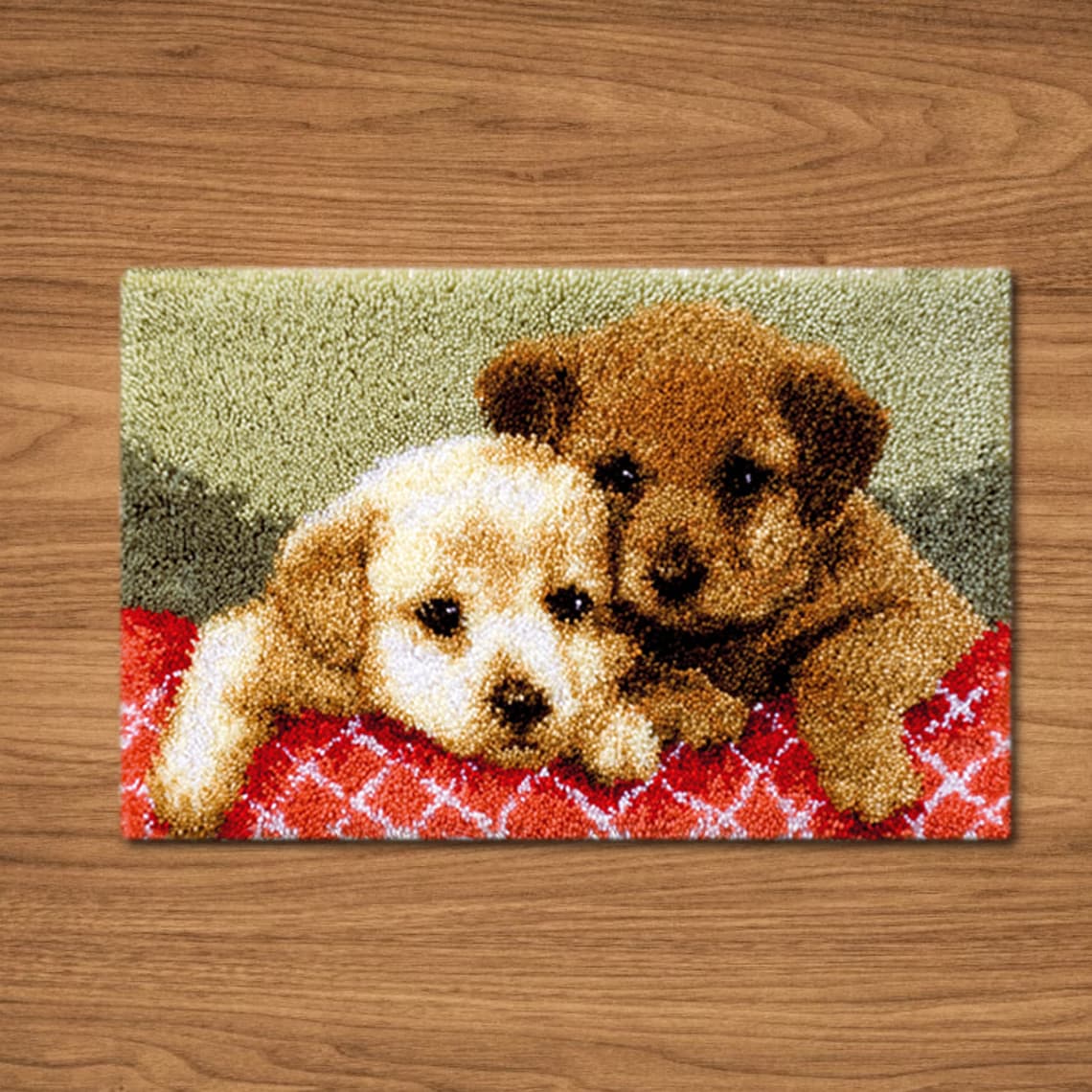Preprinted Pattern Latch Hook Rug Kits for Adults and Kids Etsy