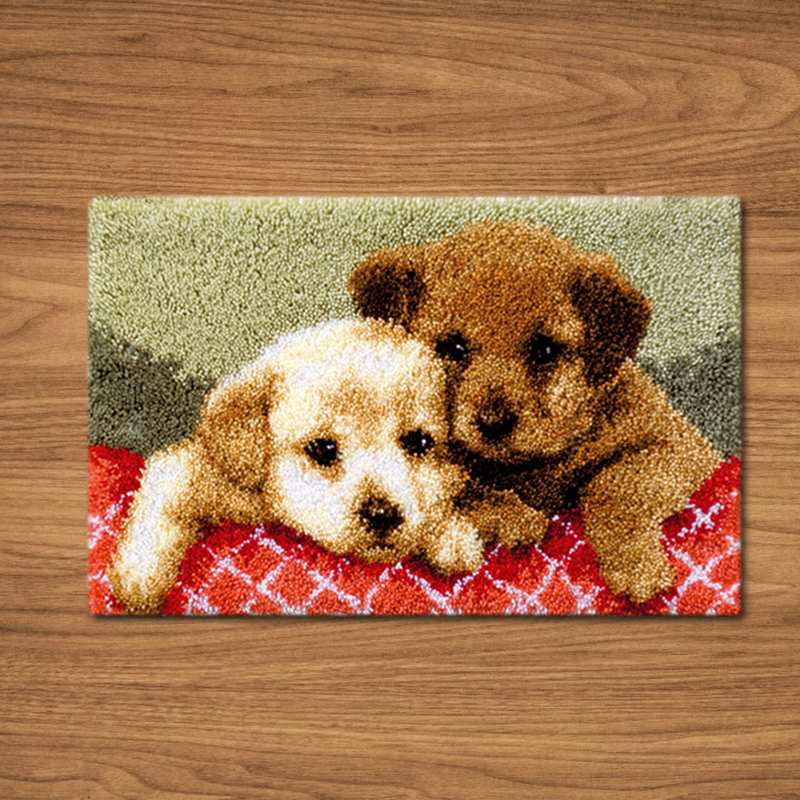 Preprinted Pattern Latch Hook Rug Kits for Adults and Kids Etsy