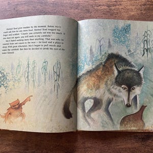 May include: An open children's storybook featuring a watercolor illustration of a coyote and a horned toad in a cornfield. The left page contains printed text about Ma'ii and Horned Toad, while the right page depicts the animals in a field.