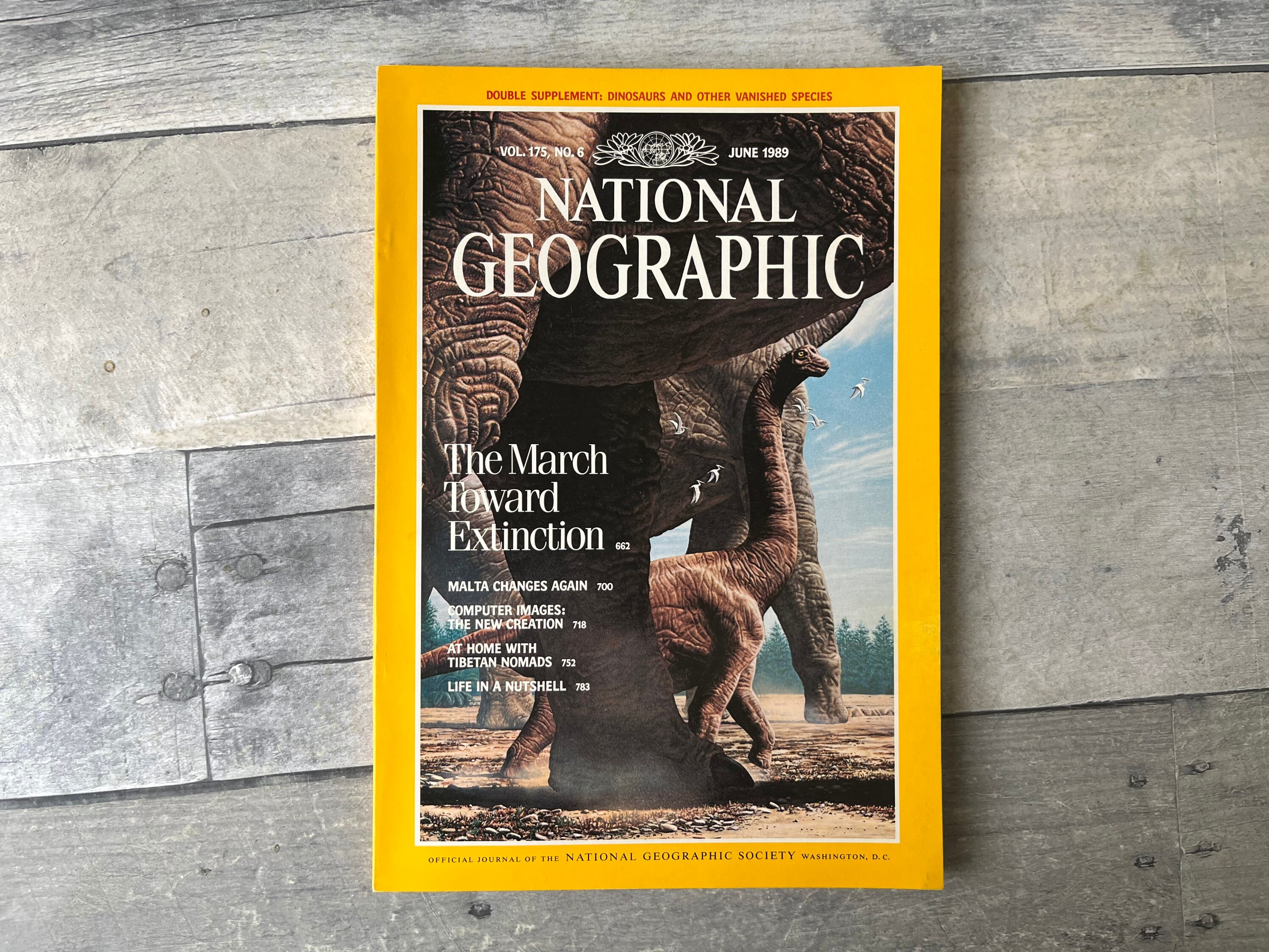 National Geographic Magazines 1989 - Etsy