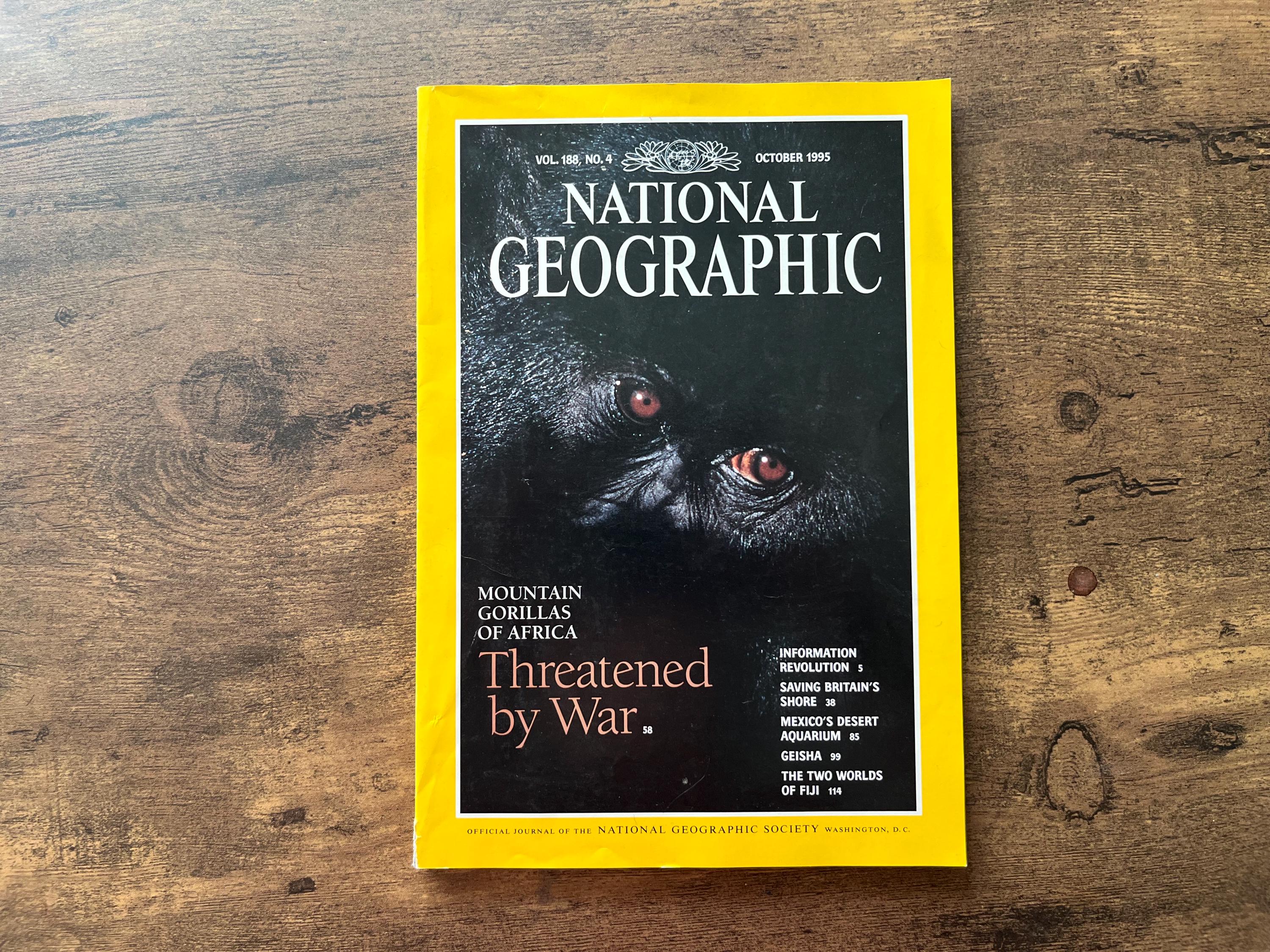 National Geographic Magazines 1995 - Etsy
