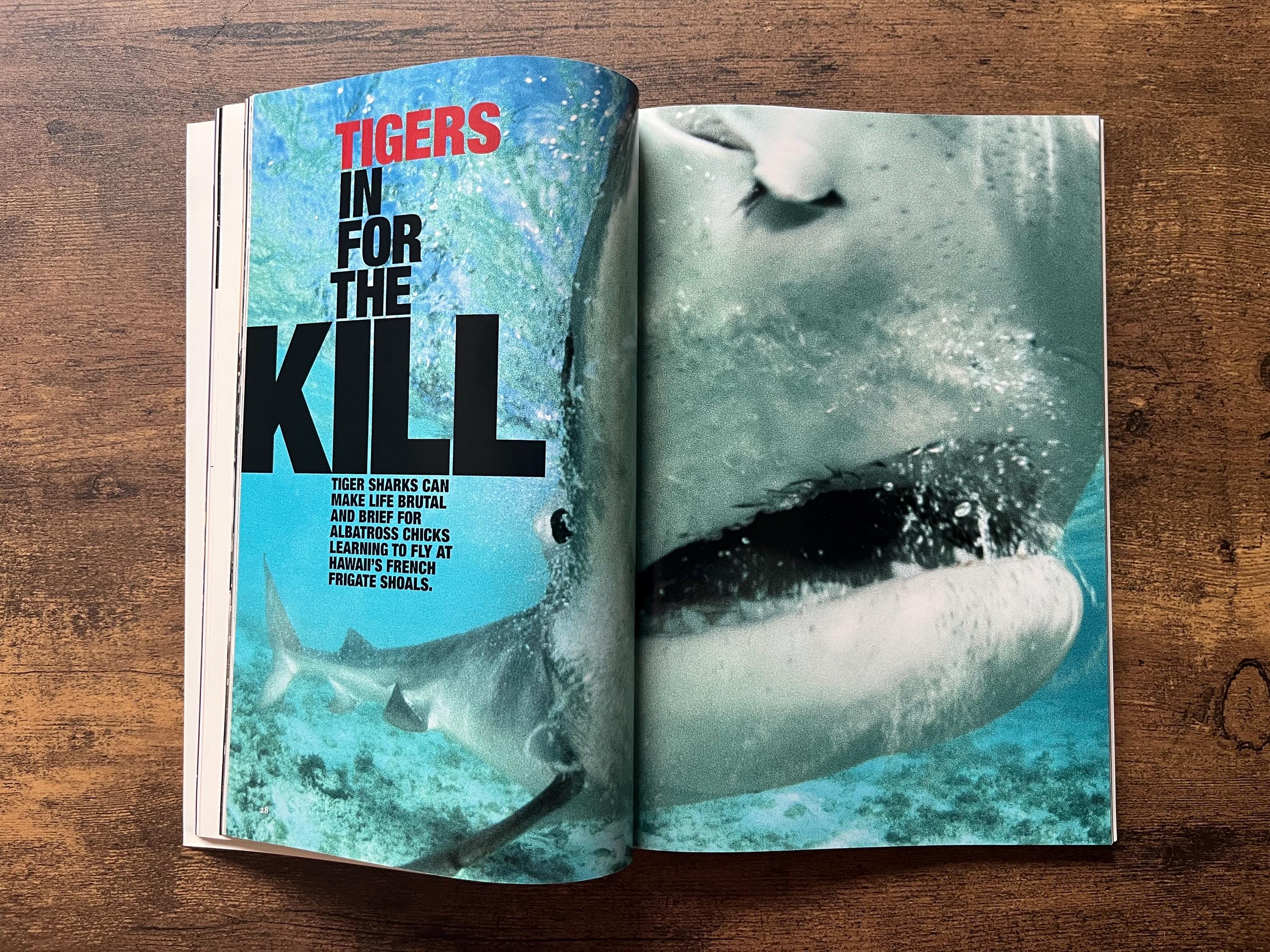 National Geographic Magazine Vol 196 No. 5 November 1999 - Etsy