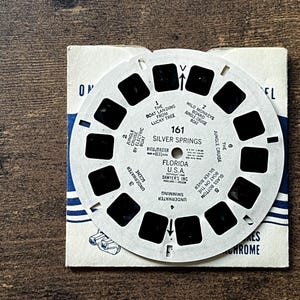 View-Master Reel 161 Silver Springs Florida USA 1948
