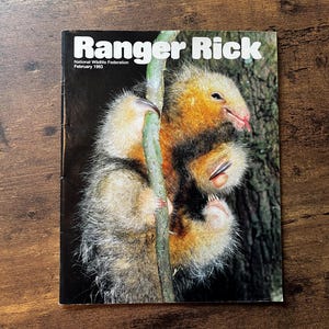 Ranger Rick Magazine | February 1993 | Vintage Kids Magazine