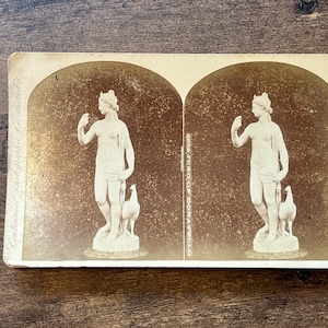 ドナテッロのユノ センテニアル写真会社 ステレオスコープカード 1896