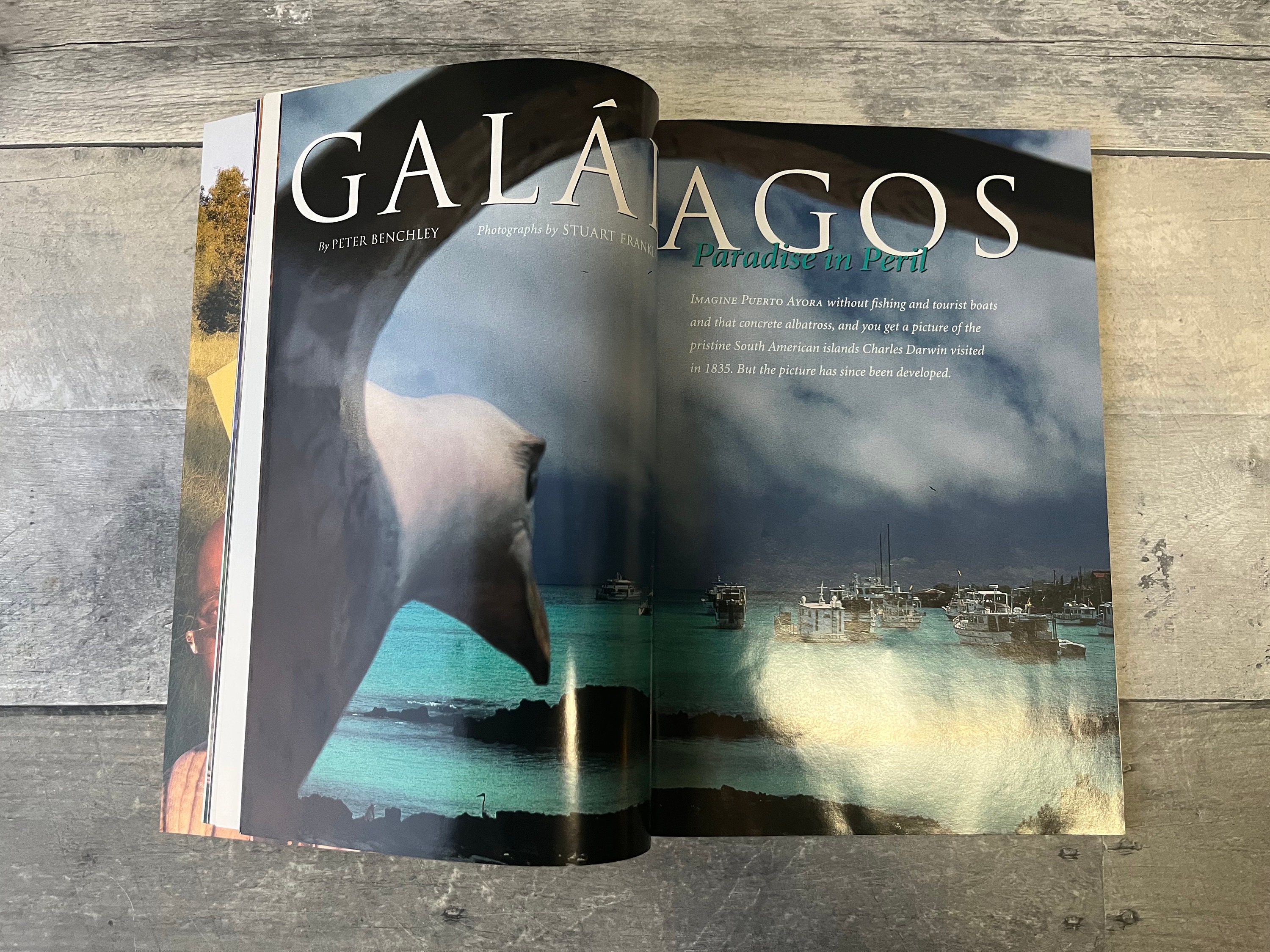 National Geographic Magazine Vol 195 No. 4 April 1999 - Etsy