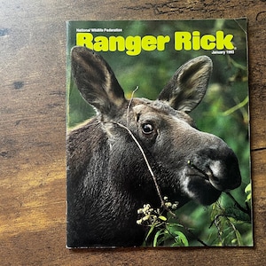 Ranger Rick Magazine | January 1993 | Vintage Kids Magazine