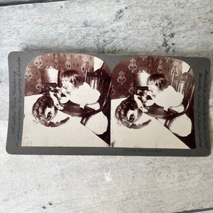 The Interrupted Meal 9026 Vintage Keystone View Company Stereoscope Card 1899