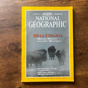 National Geographic Magazine Vol 186 No. 5 November 1994