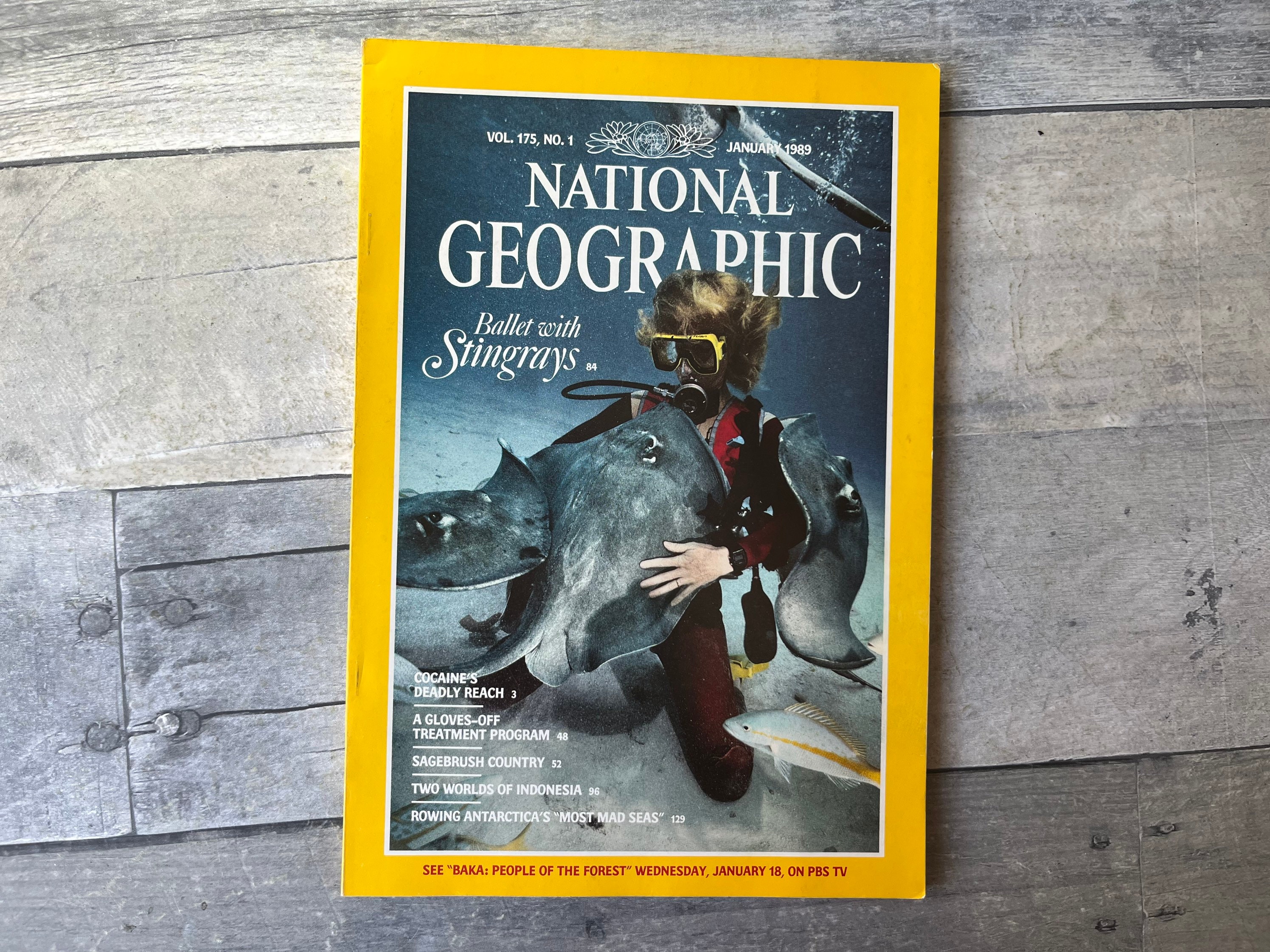 National Geographic Magazines 1989 - Etsy
