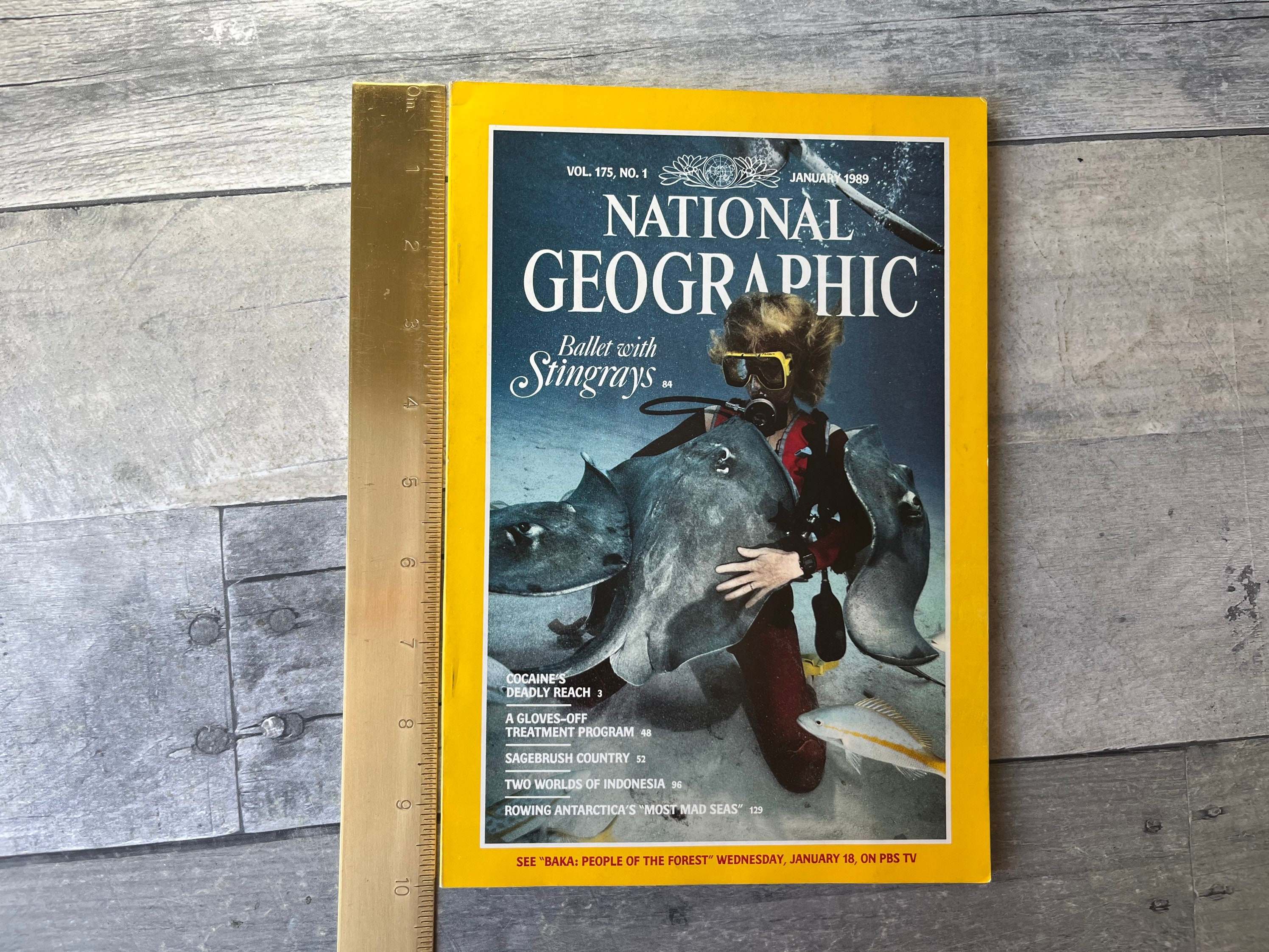 National Geographic Magazine Vol 175 No. 1 January 1989 - Etsy