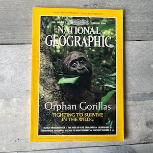 National Geographic Magazine Vol 197 Nr. 2 Februar 2000 Enthält KEINE Kartenbeilage