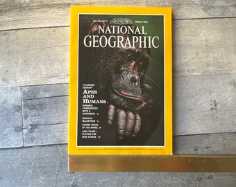 The National Geographic Magazine 1942年1月｜本｜洋書