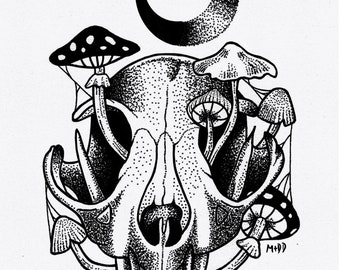 Crane De Chat Dessin Etsy Crane De Chat Dessin Etsy