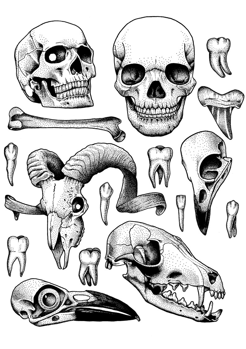 A4 Skull Flash Sheet - Etsy