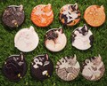 Cute cat phonegrip adoption (magsafe magnetic or glued!) product logo