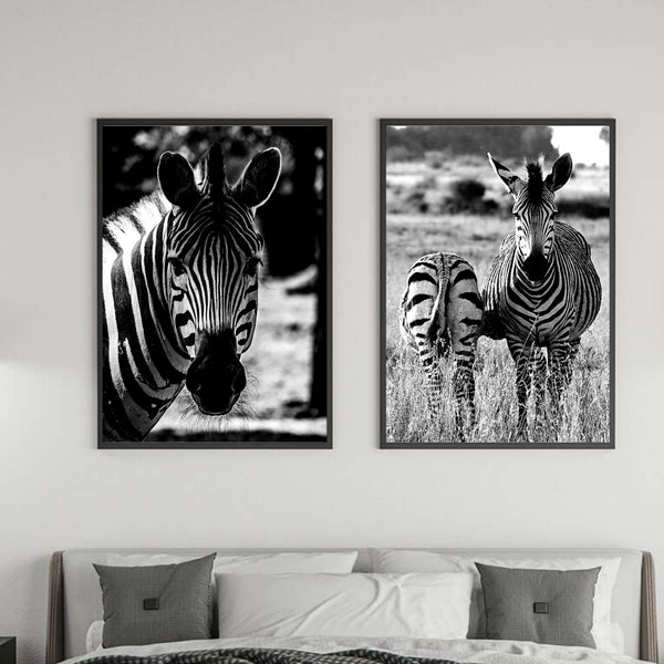 Zebra Print, Zebra Photo, Zebra Poster, Zebra Set of 2, Safari African Animals, Wall Art Home Decor, Black and White Photograph,Minimalist