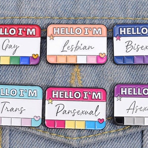 Hello I'm Lesbian Gay Bisexual Pansexual Asexual Trans Hard Enamel Lapel Pin