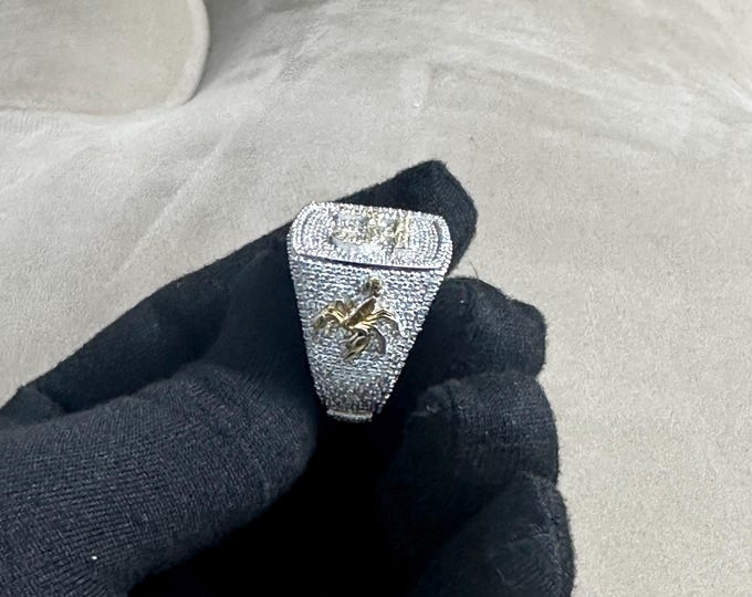 Custom Ice Out Ring, 925 Sterling Silver Moissanite, Gold & Rose Gold Plated, VVS EF, Men’s Statement, Personalized, ShivayaiJewelry