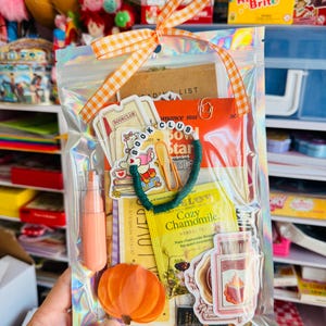 May include: A holographic pouch tied with an orange gingham ribbon containing a book club bracelet with white letter beads, a pumpkin cutout, a Cozy Chamomile tea bag, a peach highlighter, various stickers, and paper ephemera including a reading list.