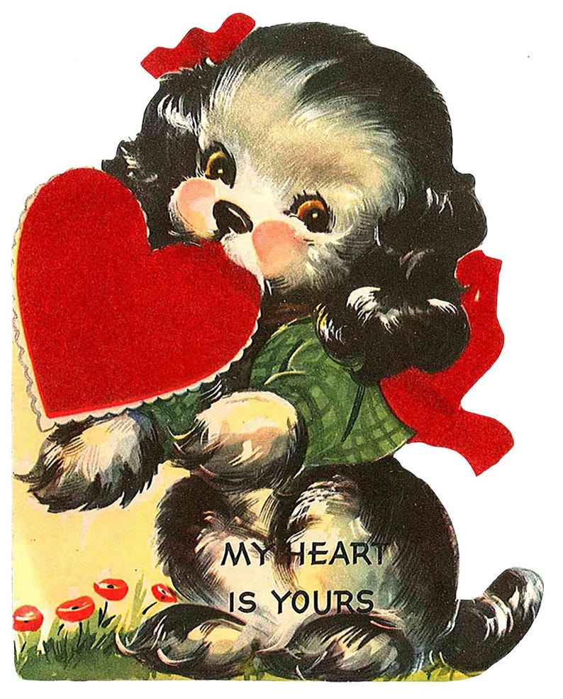May include: Vintage Valentine's Day card featuring a black and white puppy holding a red heart. The puppy wears a green jacket and a red bow. The text "MY HEART IS YOURS" is displayed below the puppy.