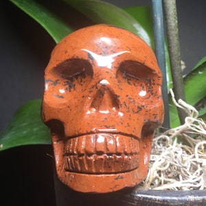 Mahogany Obsidian Skull