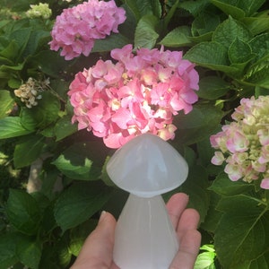 Selenite mushroom, satin spar mushroom