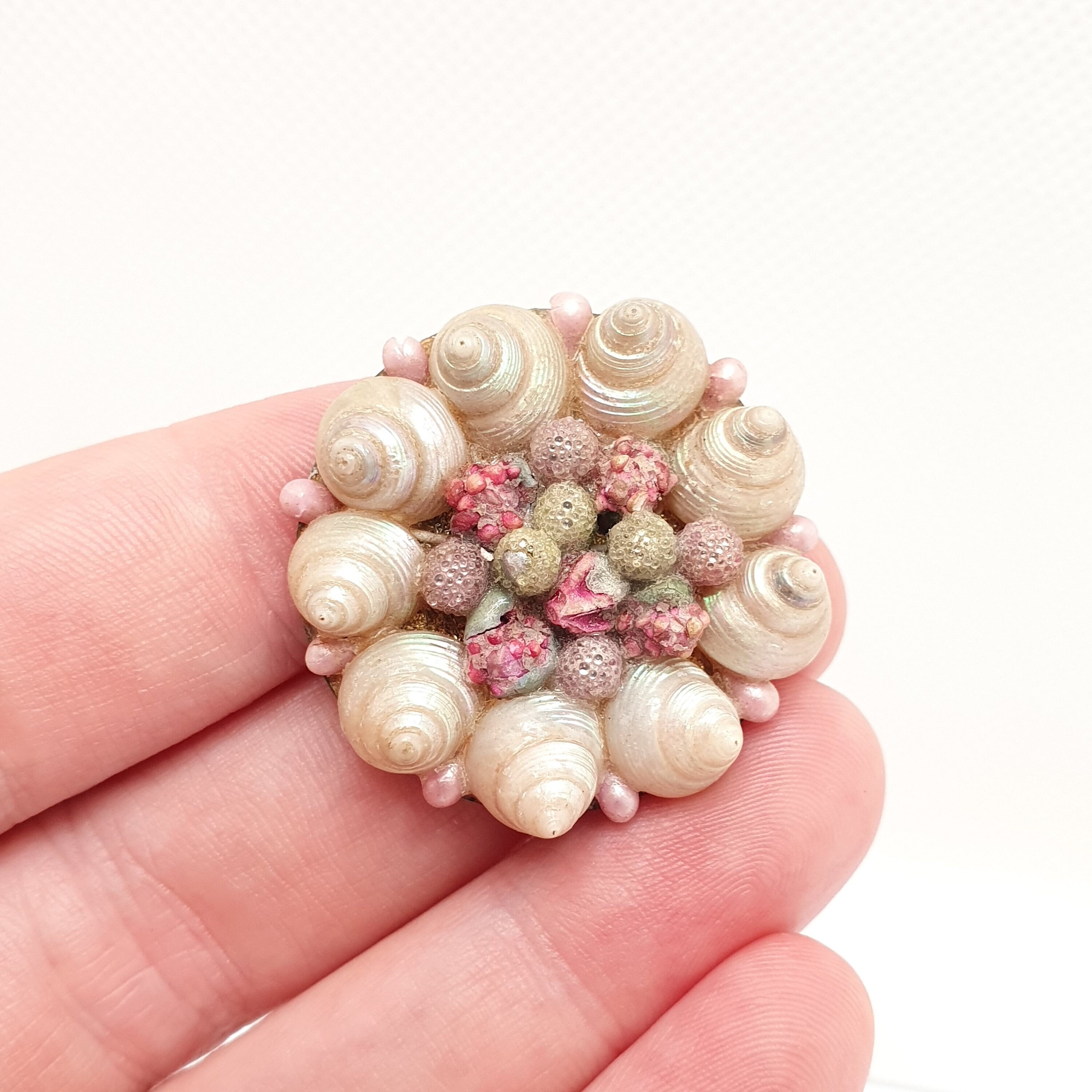 SALE Old Victorian curio Shell Brooch Handmade Sea Snail Real Genuine Shell Spiral Mosaic Cluster Bead Animal Shells Womens Jewellery