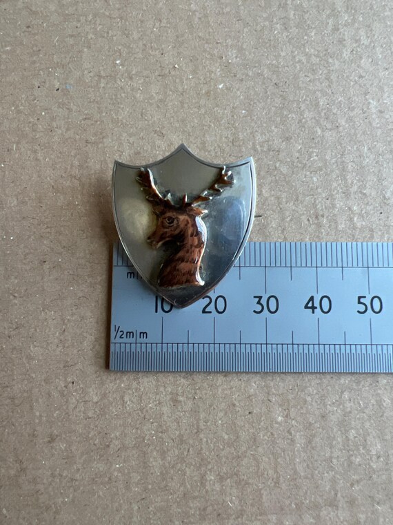 Antique Victorian Enamel Solid Silver Scottish St… - image 10