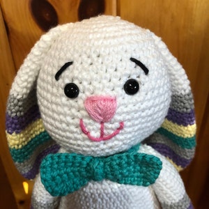 Carrot the Bunny