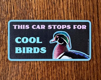 This Car Stops for Cool Birds Car Magnet