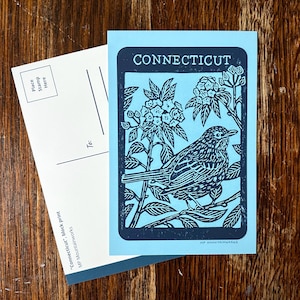 Carte postale oiseau et fleur de l'état du Connecticut