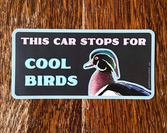 This Car Stops for Cool Birds vinyl bumper sticker