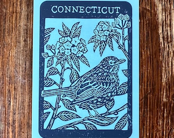 Connecticut State Bird & Flower Postcard