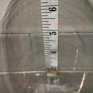 May include: A clear glass container with a measuring tape inside, showing a liquid level at approximately 3 inches. The tape is marked in inches, with clear black lines and numbers.