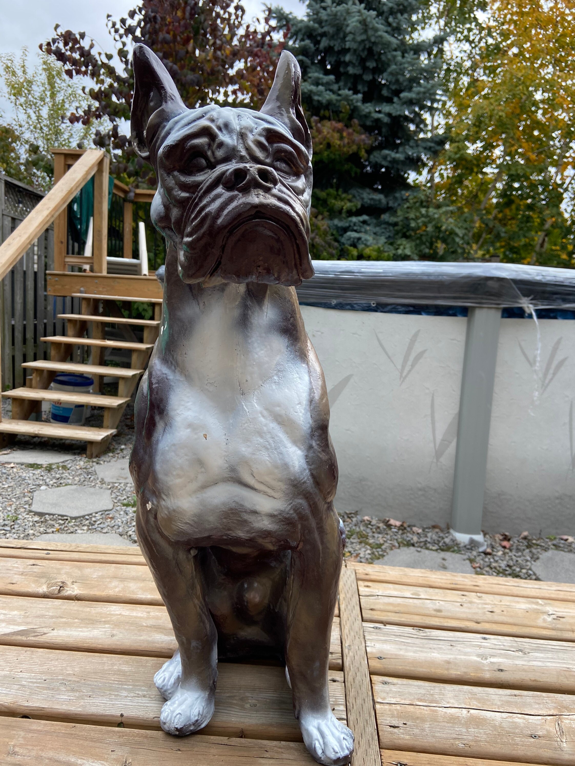 figurine chien splash boxer outdoor coloré