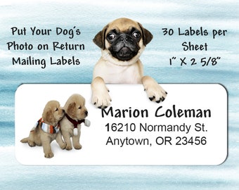 Dog themed Pet Photo Return Address Labels. Your Pet's Photo on Glossy Photo Paper. Buy 2 get one FREE!  Dress up your mailings & envelopes.