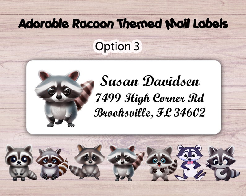 Kawaii Raccoon Return Address Labels, Personalized Mailing Stickers - Etsy