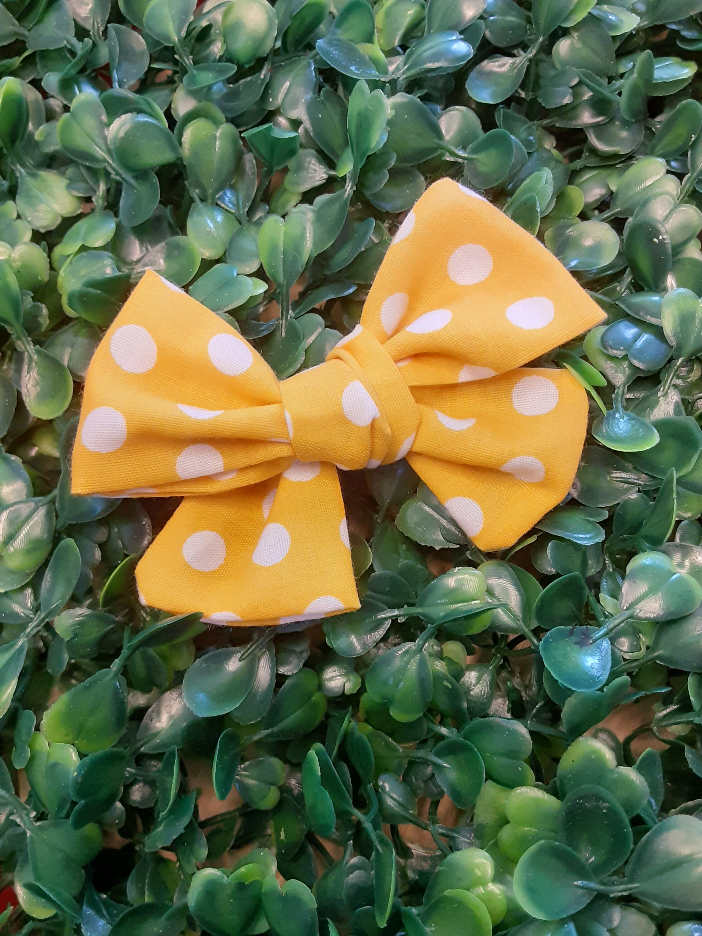 Girl Dog hair Bow with clip Hot Pink Polka Dot Dog Bows Etsy