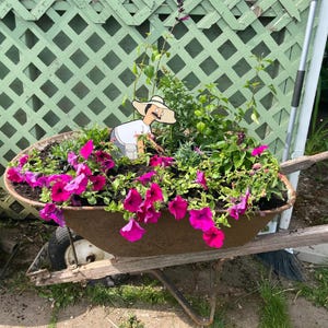 Puede incluir: Una carretilla de metal r&uacute;stico llena de tierra oscura y vibrantes flores de petunia magenta. Un recorte plano de estilo caricatura de una persona con un sombrero de paja de ala ancha y una camisa blanca est&aacute; colocado entre el follaje verde y las flores de color rosa brillante.