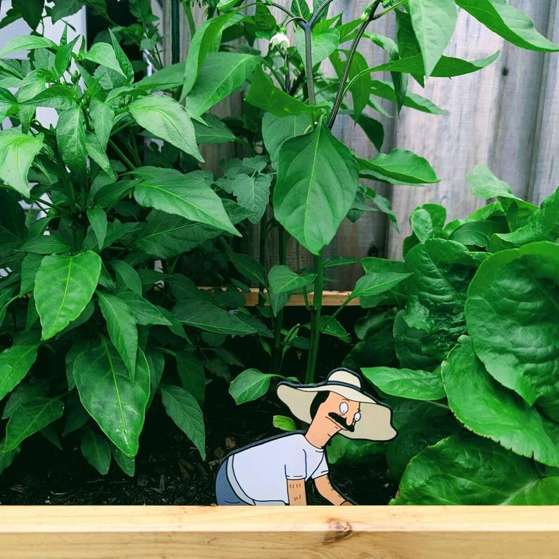 Puede incluir: Un adorno de jard&iacute;n que muestra un personaje de dibujos animados con bigote, que lleva un sombrero beige de ala ancha y una camisa azul claro, colocado entre plantas de pimiento verde en un huerto elevado de madera con tierra oscura.