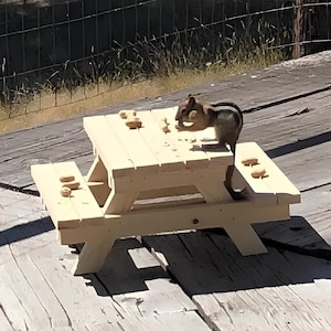 May include: A small, light-colored wooden picnic table with attached benches, featuring a chipmunk standing on the tabletop. Several unshelled peanuts are scattered across the surface of the table and the benches, with the chipmunk holding one.