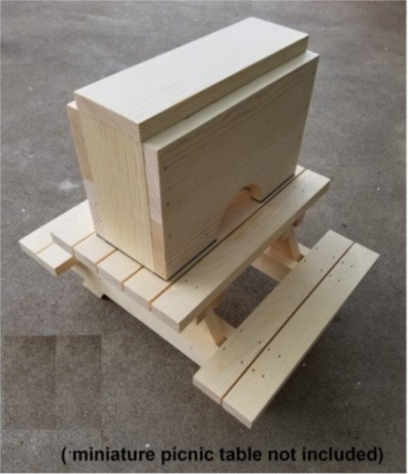 Peanut Dispenser, Squirrel Feeder, Unique Gift, Wildlife, Squirrel