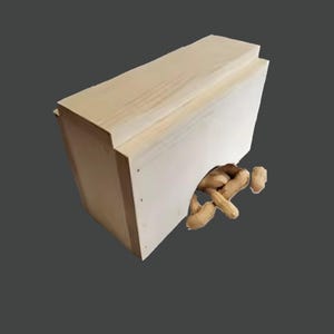 Squirrel Peanut Feeder: Wildlife Critter Dispenser