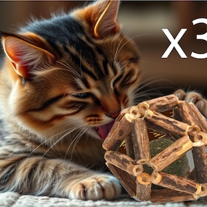 May include: A tabby kitten with brown and black stripes is licking a wooden cat toy. The toy is a geometric shape made of small wooden sticks, with a green ball visible inside. The text "x3" is in the upper right corner.
