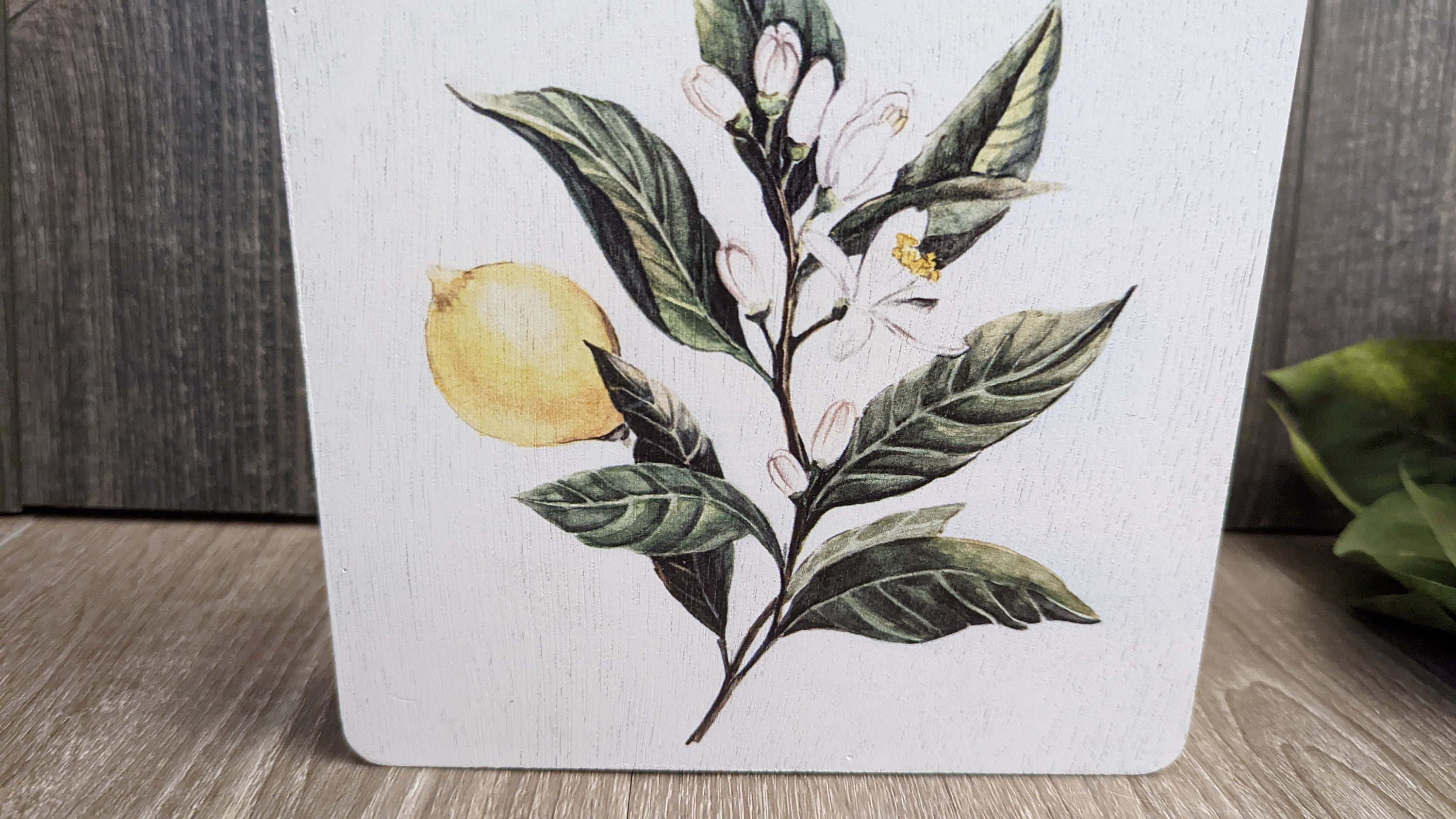 Lemon Decor | Lemon Sign | Fruit Sign | Kitchen Self Sitter | Summer ...